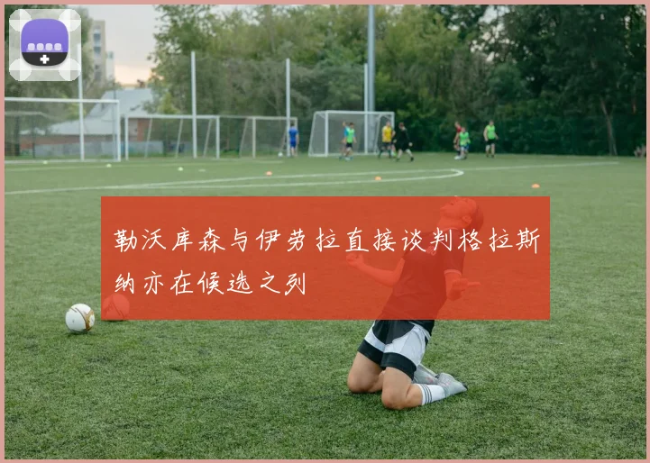 勒沃库森与伊劳拉直接谈判格拉斯纳亦在候选之列